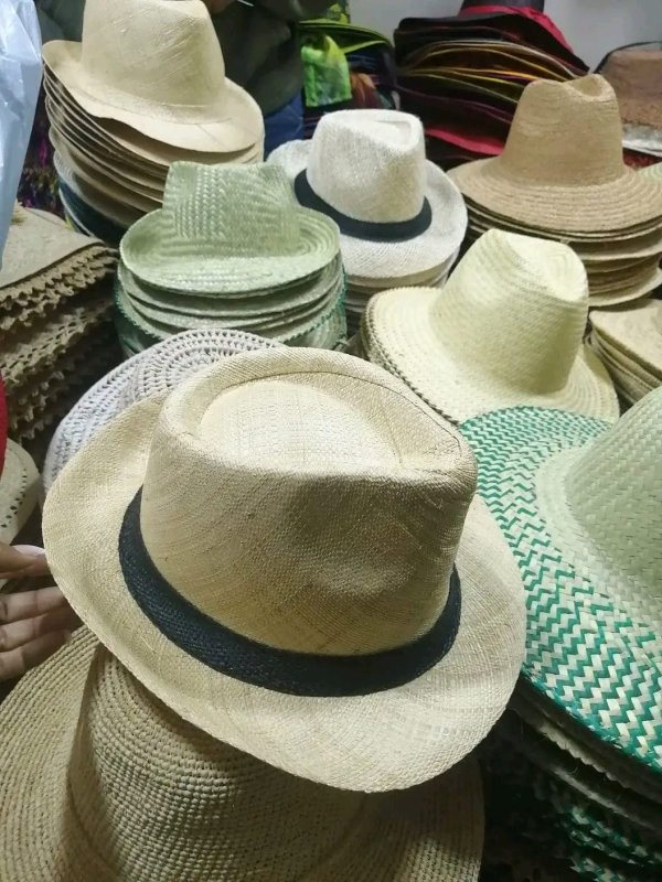 chapeau panama
