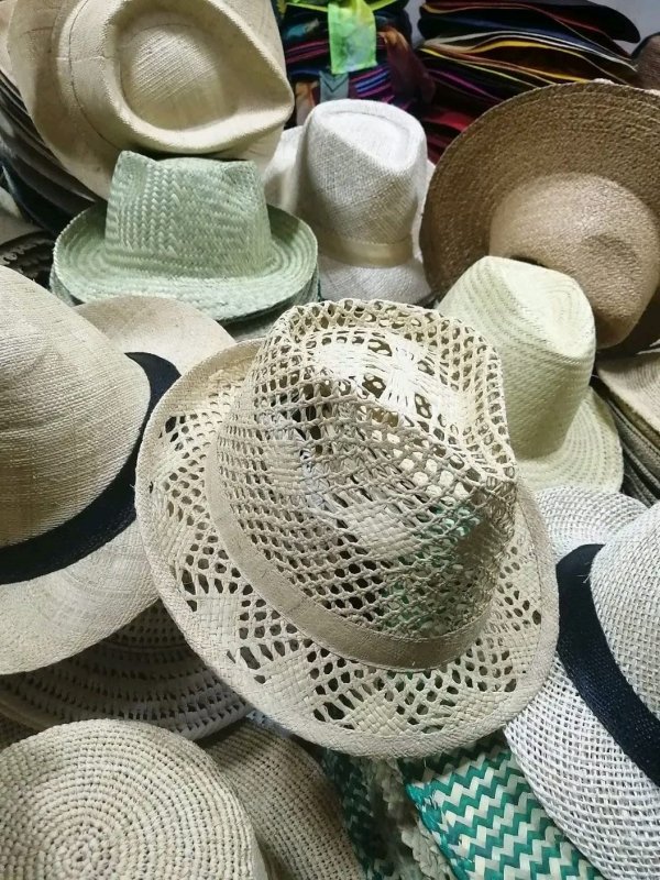 chapeau panama
