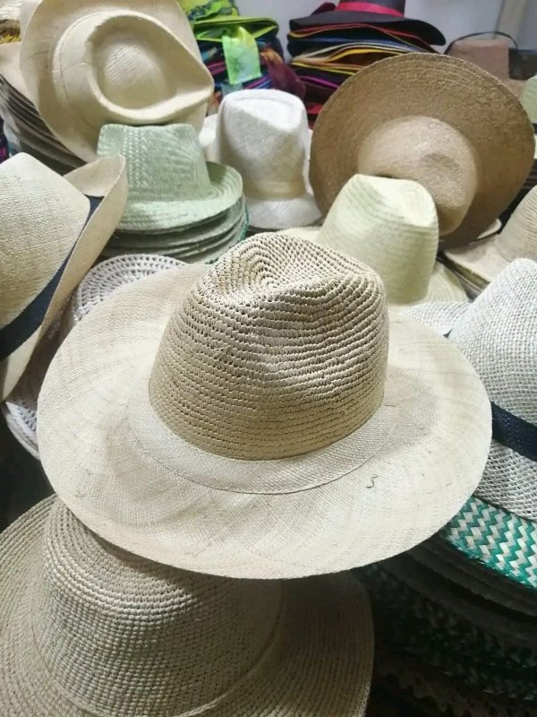 chapeau panama