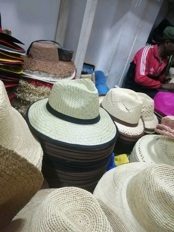 chapeau panama